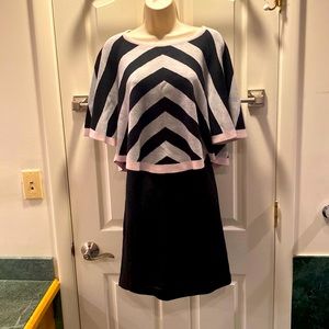 Ellen Tracy linen texture black skirt with lining